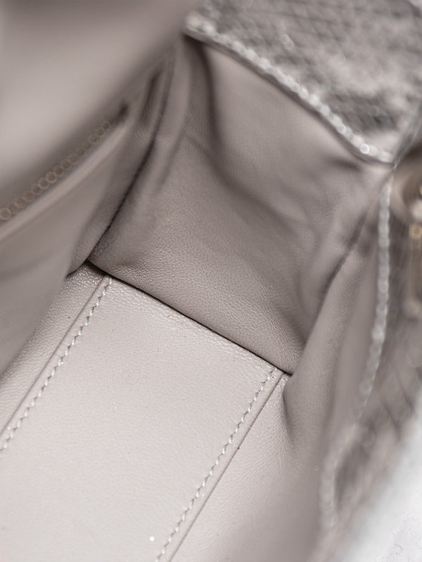 Christian Dior Metallic Python Mini Lady Dior