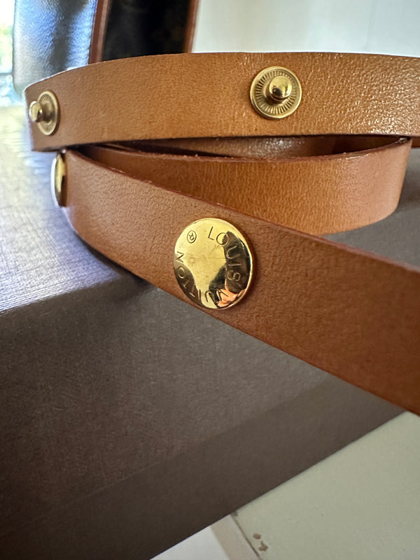 Louis Vuitton Monogram Pochette Florentine