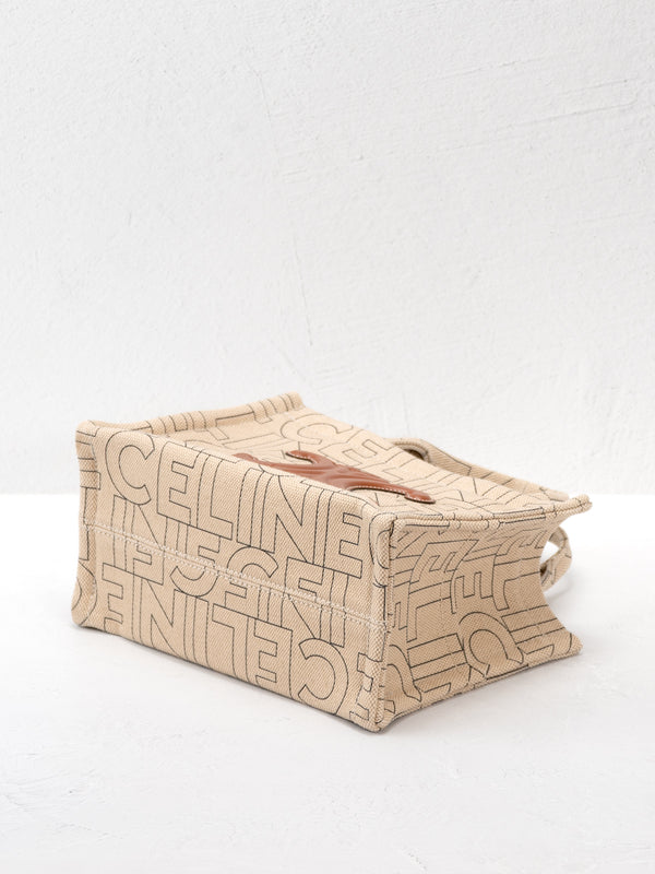 Celine Small Triomphe Cabas Thais Tote