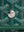 Goyard Goyardine Plumet