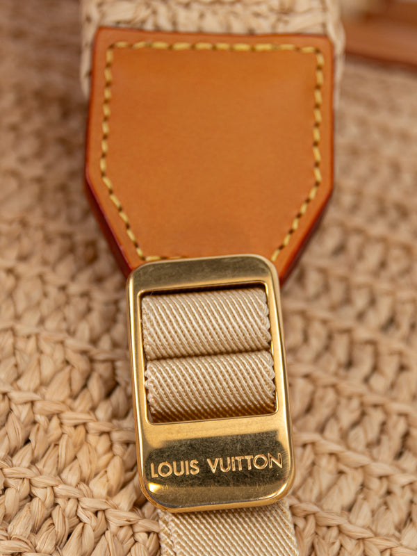 Louis Vuitton Christopher PM Backpack