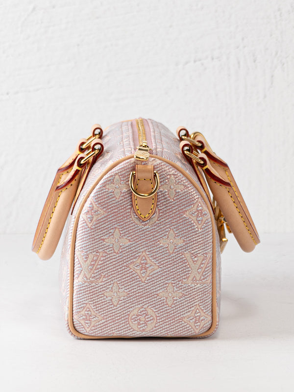 Louis Vuitton Ltd Ed Speedy Bandoulière 20