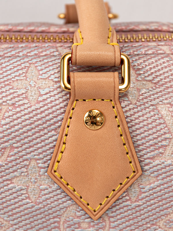 Louis Vuitton Ltd Ed Speedy Bandoulière 20