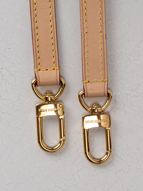 Louis Vuitton Ltd Ed Speedy Bandoulière 20