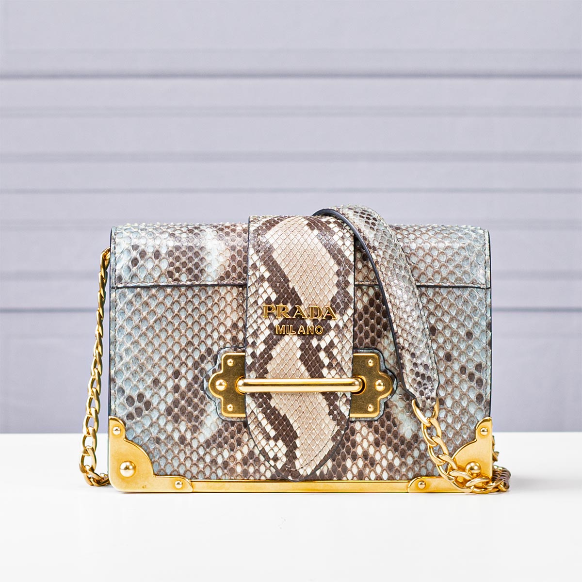 Prada Python Cahier Bag – Handbag Social Club