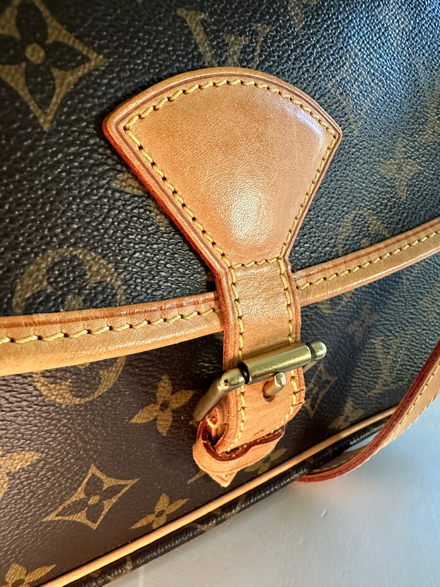 Sologne leather handbag